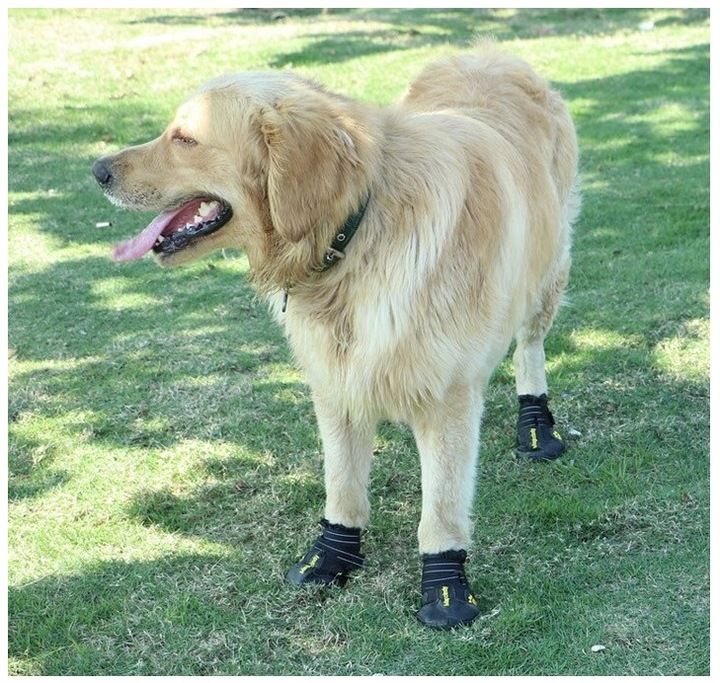 Buty Dla Psa Trekkingowe Ekstremalnie Mocne M