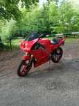 Derbi GPR 50 Replica