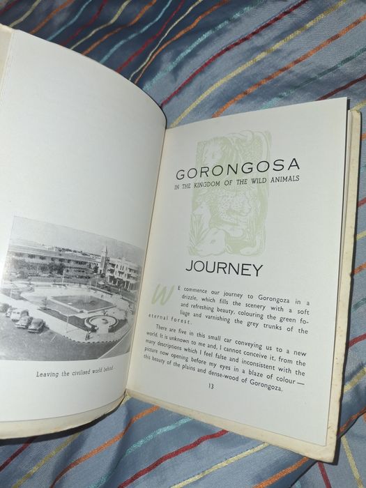 Gorongosa de Nuno Bermudes parque Moçambique