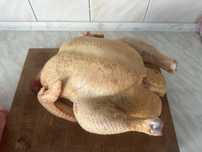 Тушка Домашнього Бройлера