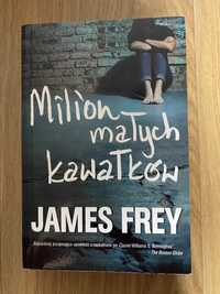 Milion małych kawałków James Frey