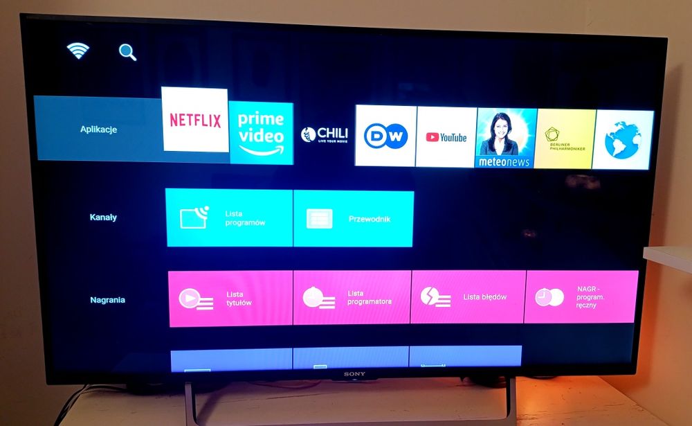 Sony Bravia 55 cali