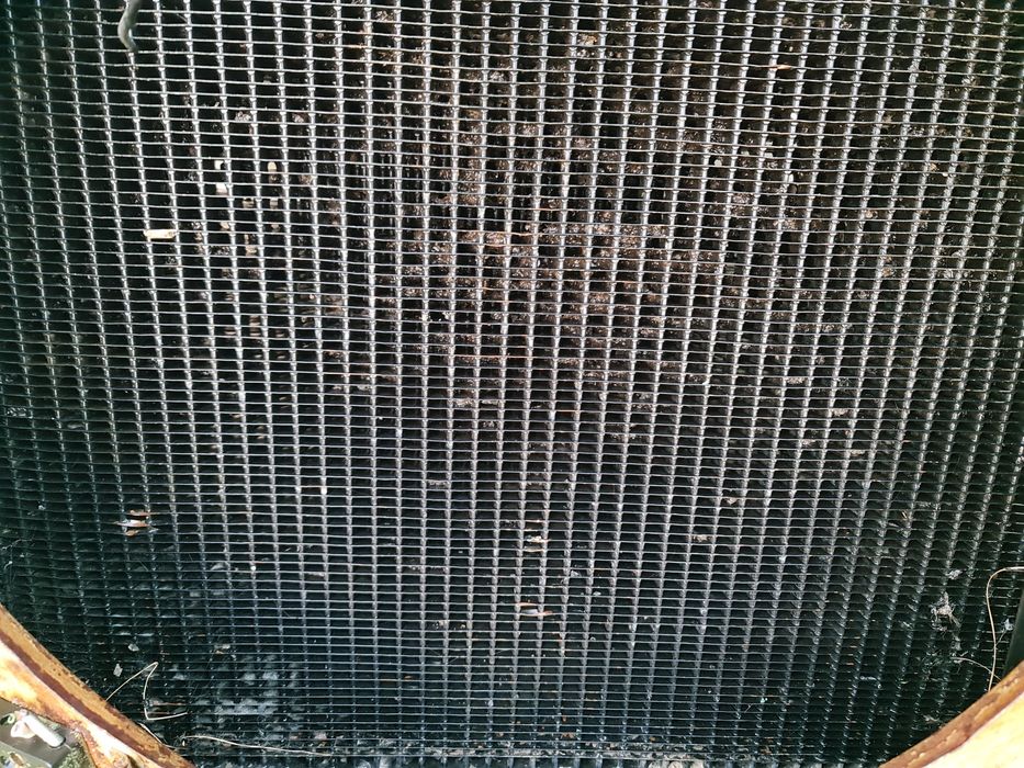 Chłodnica class matador gigant RMF 358