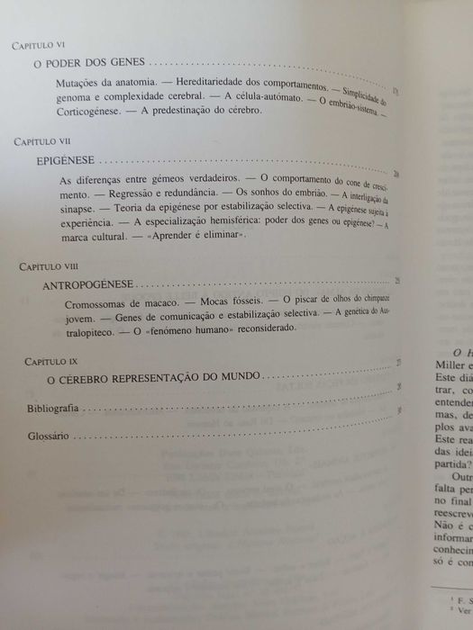 O Homem Neuronal - Jean-Pierre Changeux