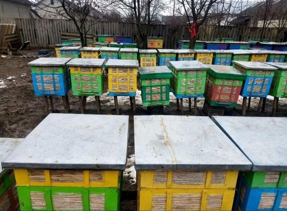 Продам вулики...