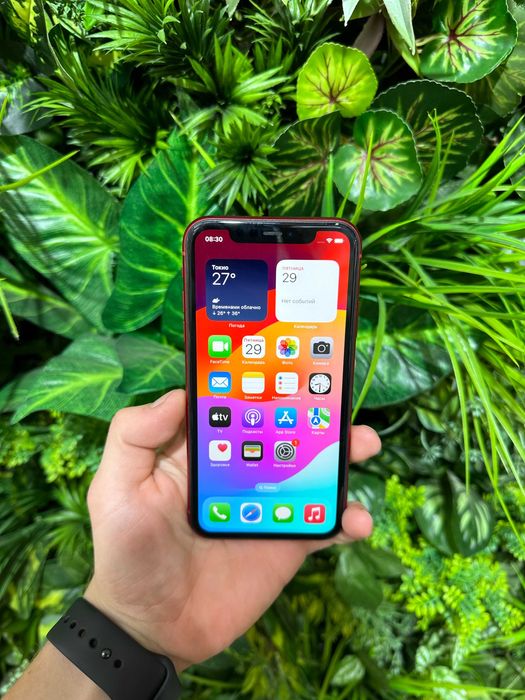 Магазин: Mr.Чохлів- Iphone 11 80%/128Gb