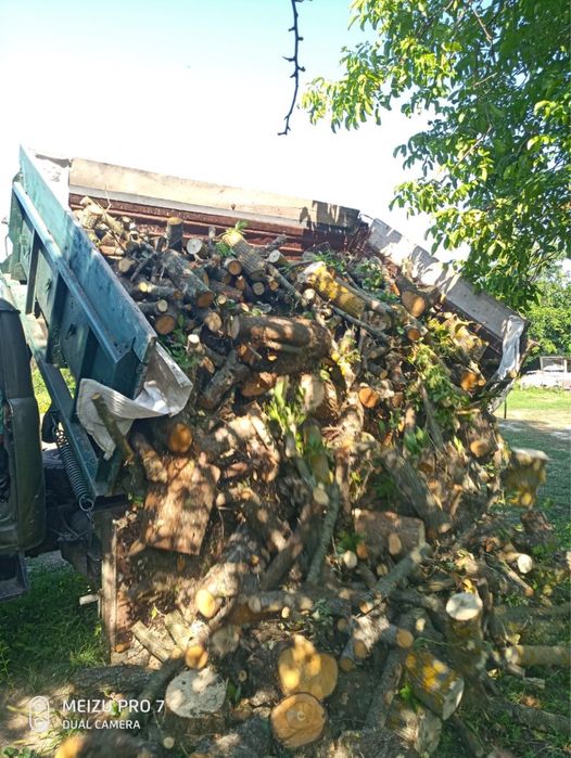 Продам дрова в кузові 8 кубів / Машина дров Дуб Клинок верба кленок