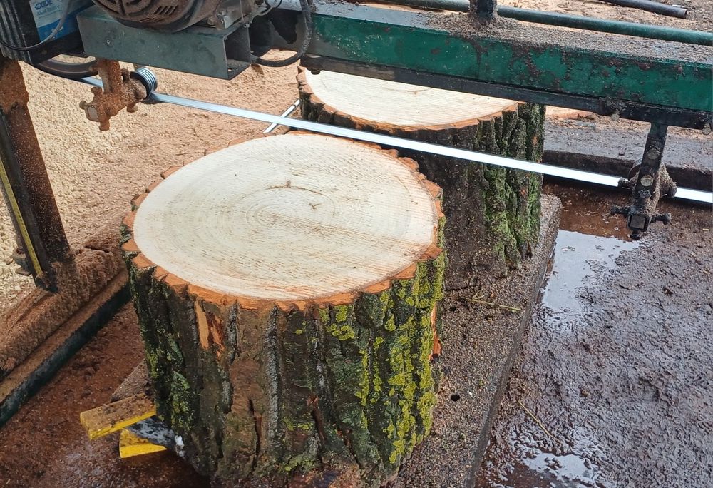 Plaster topola na stolik