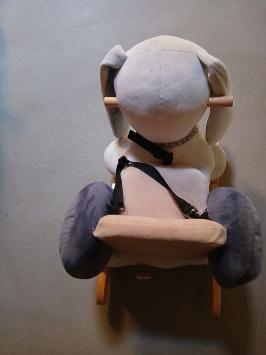 Misiu bujak stan bdb. Na biegunach