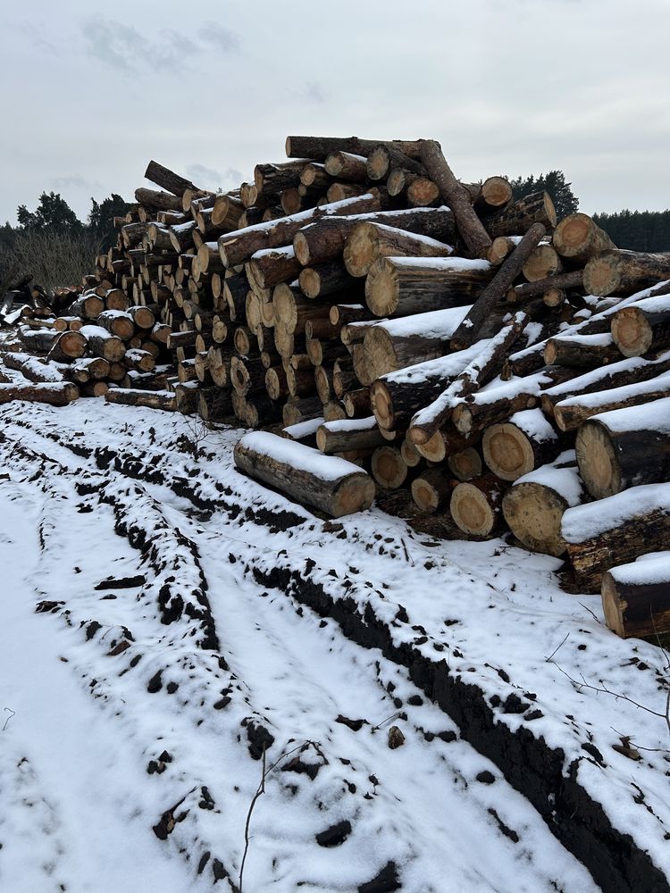 Drzewo opałowe kominkowe podpałkowe