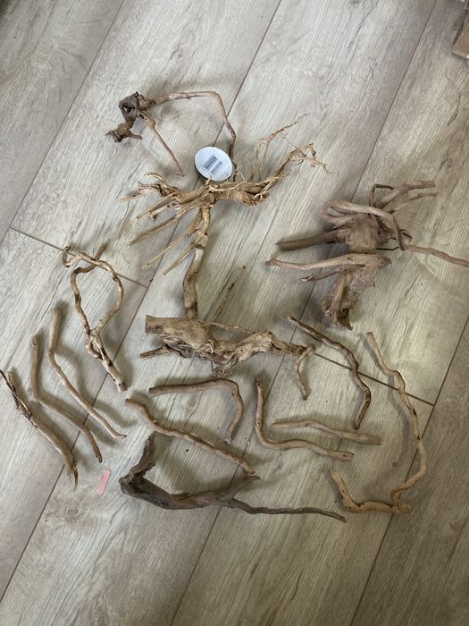 Korzenie akwarystyczne red moore