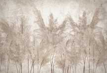 Fototapeta Mural Beton Liście Suche Trawy Pampas Loft Boho 368x254