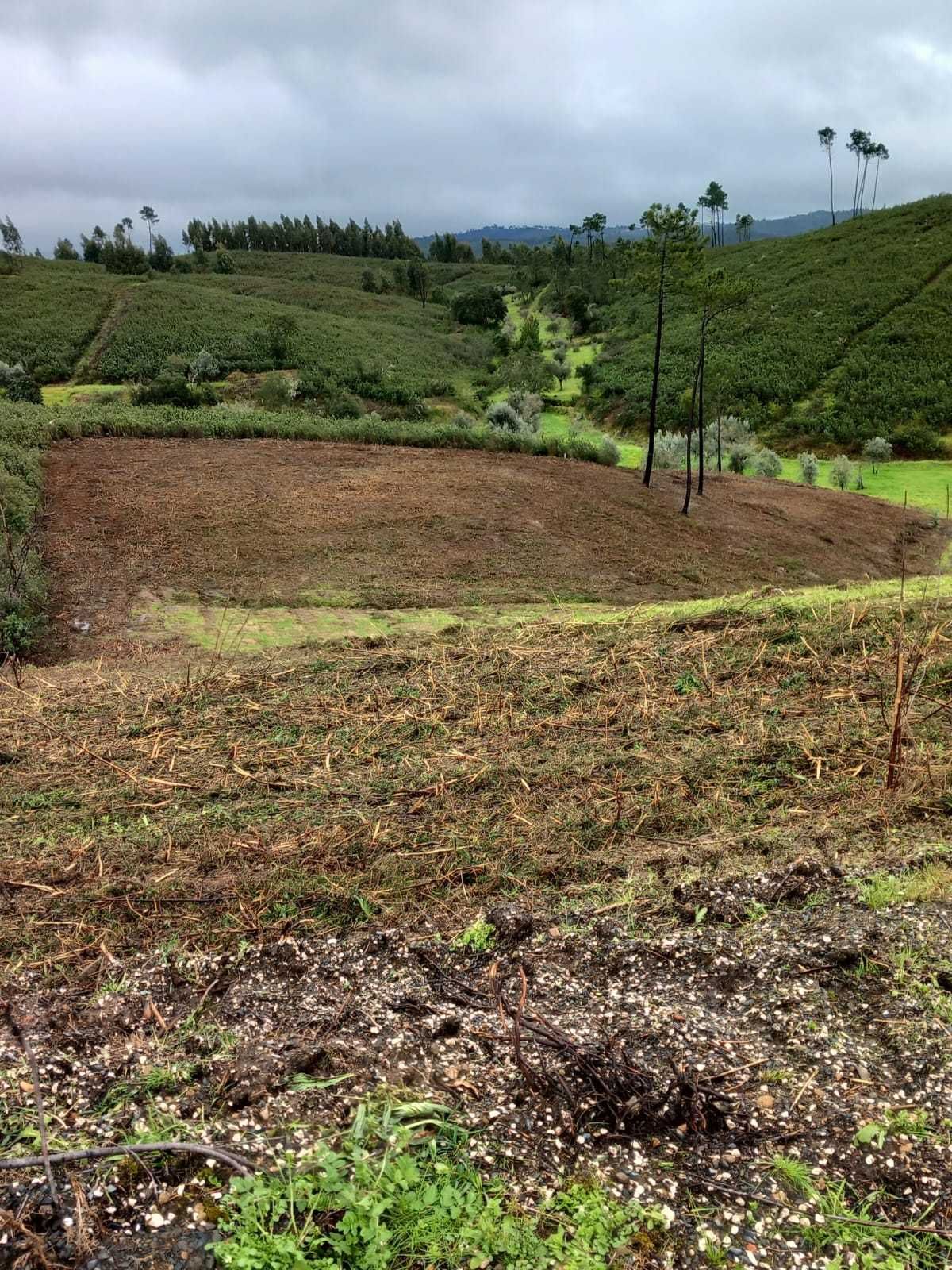 Terreno com projeto aprovado