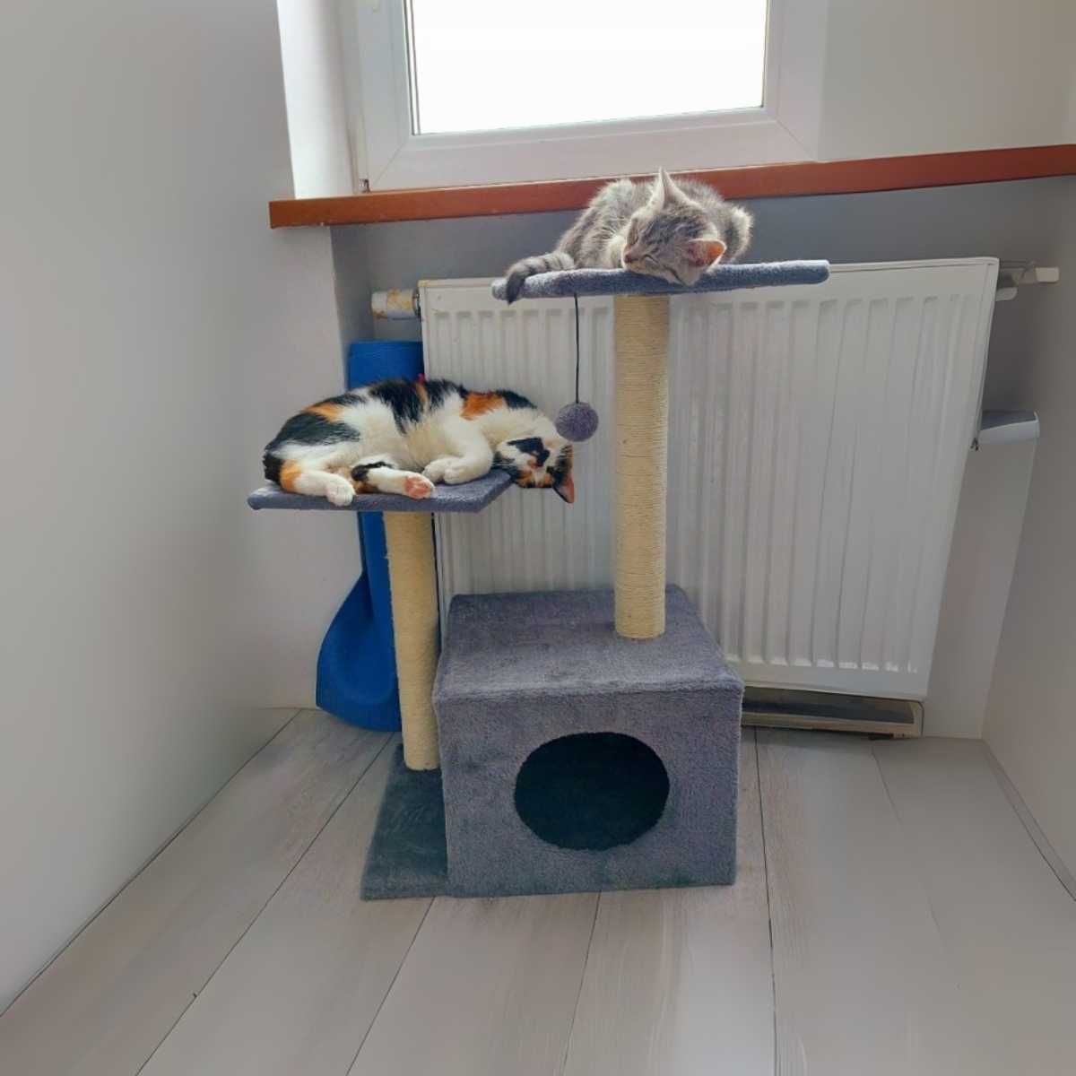 Drapak Dla Kota Domek Legowisko Słupek Myszka Tunel Pluszowy 71 cm