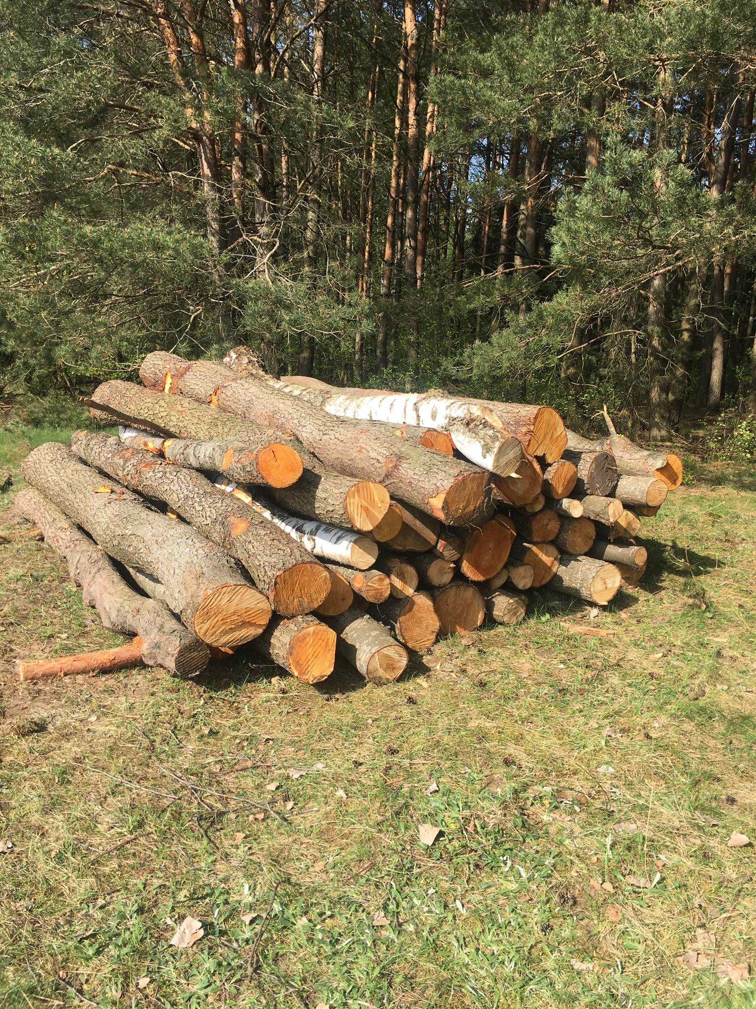 Sprzedam olche 4m/2m