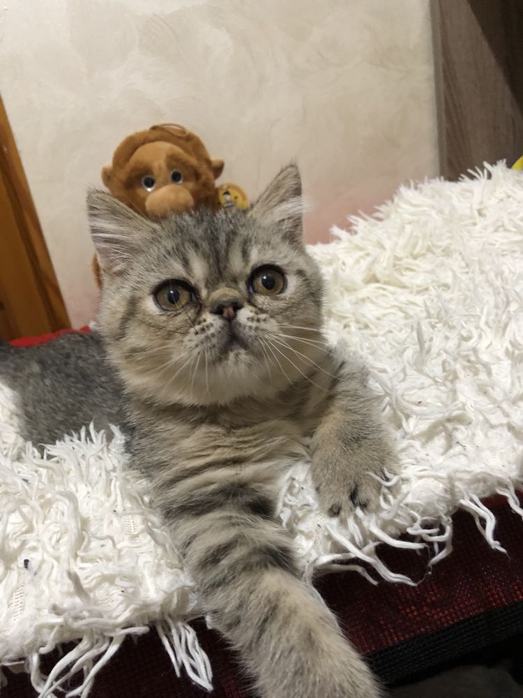 Экзотка девочка супер!