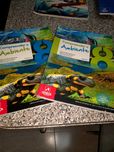 Manuais compreender o ambiente 8.ano usados