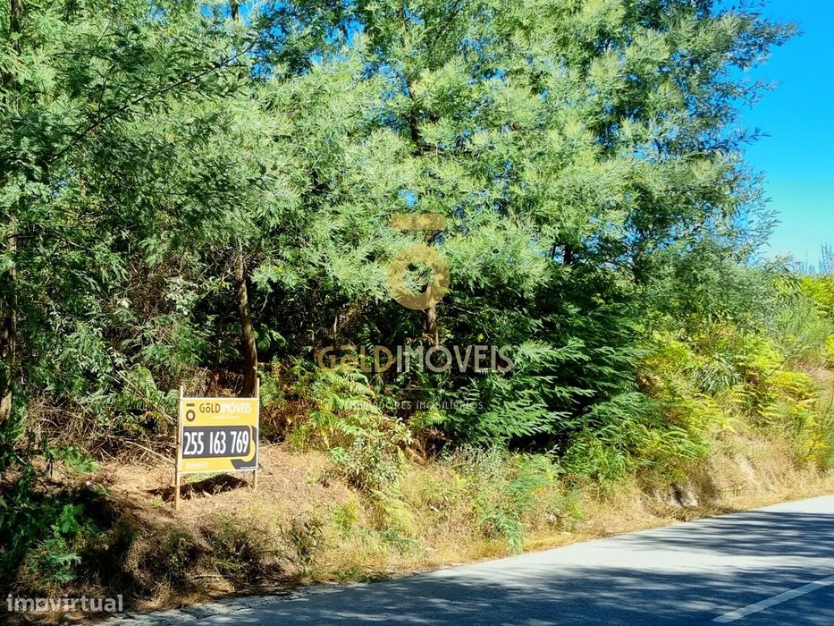 Terreno Rústico  Venda em Travanca,Amarante