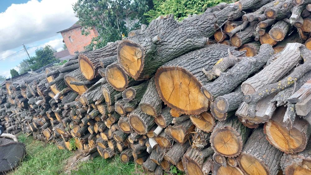 Drewno opałowe DĄB
