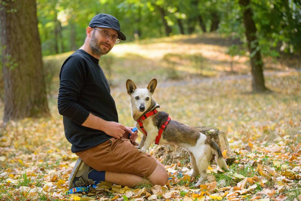 Lima - malutka ok 8 kg starsza sunieczka szuka domu