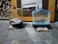 Oportunidade! Conjunto de 2 Gaiolas para Pássaros