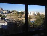 quarto em lisboa são domingos de benfica