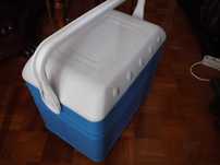 Arca Térmica Geleira Geladeira Azul e Branca 50x28x40 cm