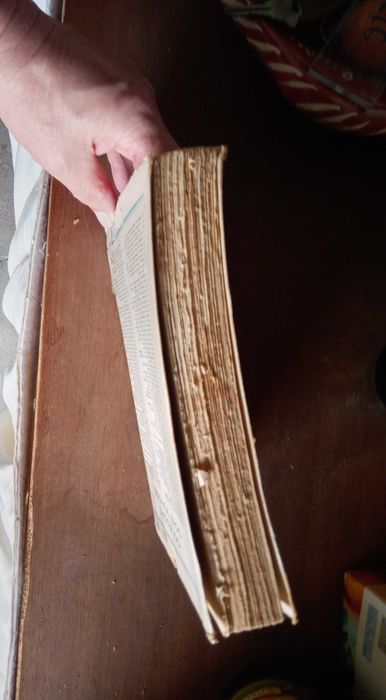 Daphne du Maurier - - - Rebeca - - - - - Livro