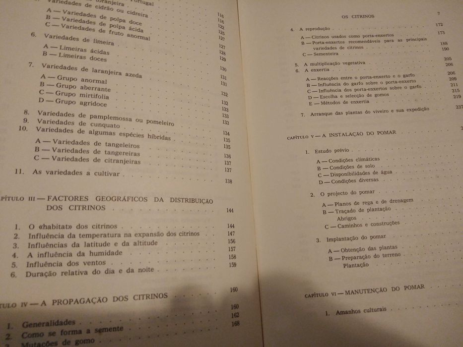 J. Duarte Amaral - Os Citrinos [autografado]