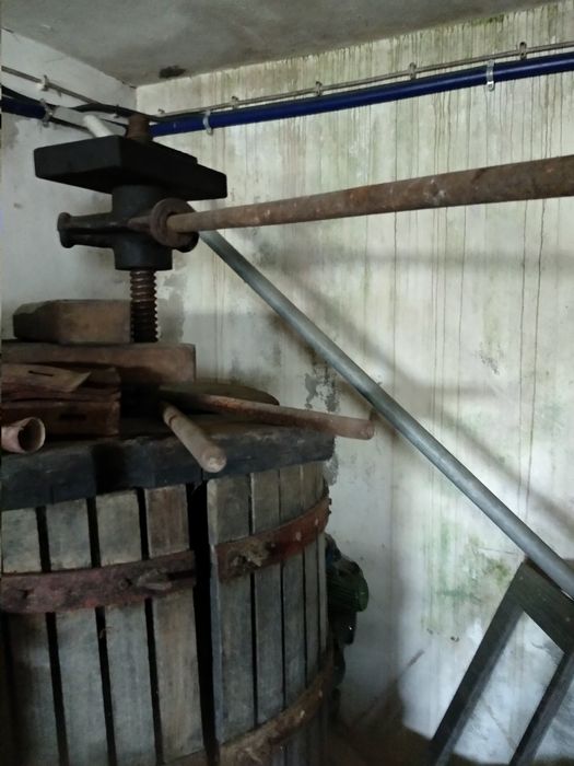 Prensa antiga em Pedra