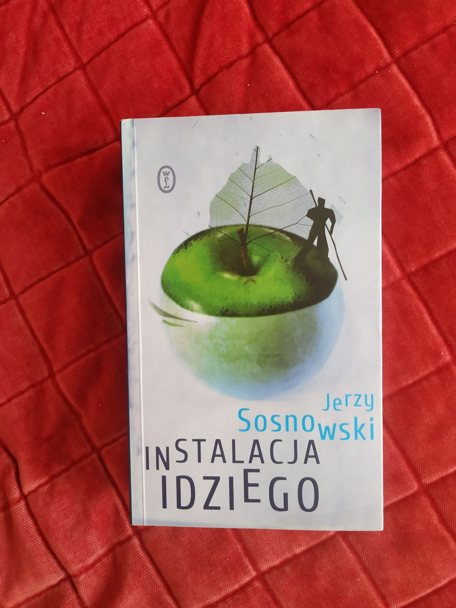 Instalacja Idziego Jerzy Sosnowski