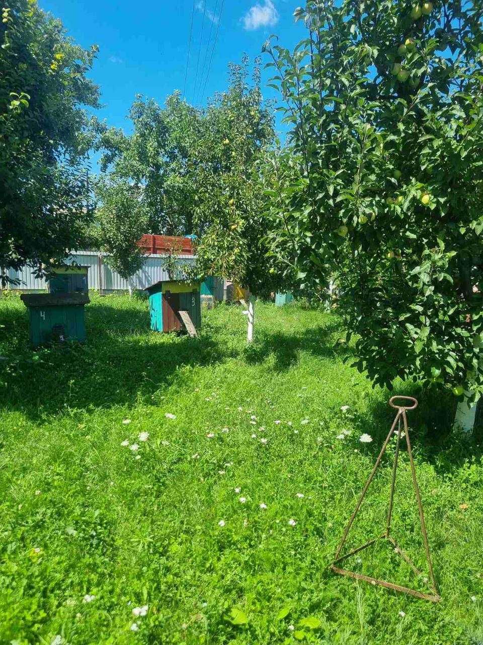Свіжий мед із власної пасіки 150 грн