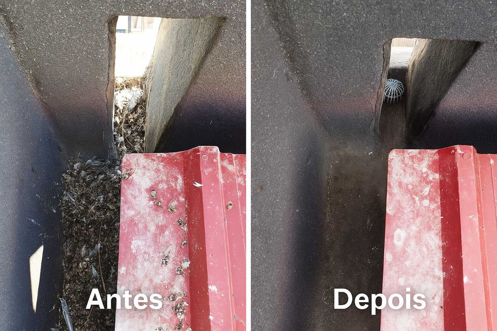 Limpeza de Telhados, Caleiras e Algeroz – Evite Infiltrações!