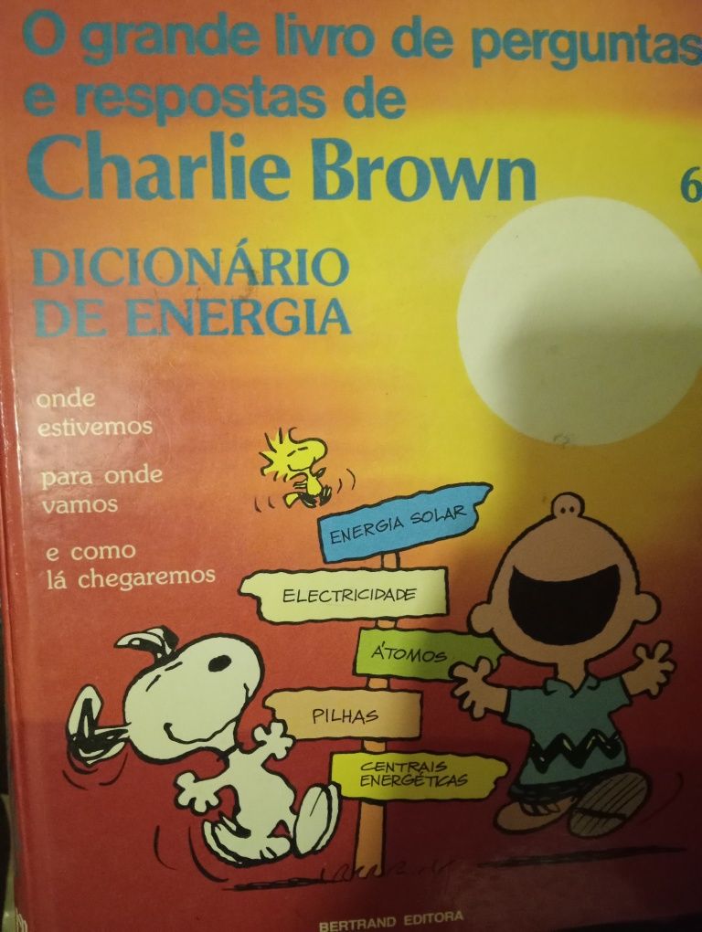 Charlie Brown dicionário de energia