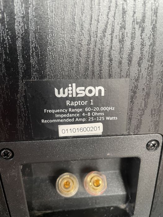 Kolumny Wilson Raptor