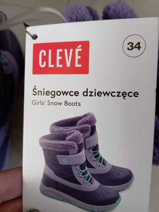 Śniegowce fioletowe Cleve 34