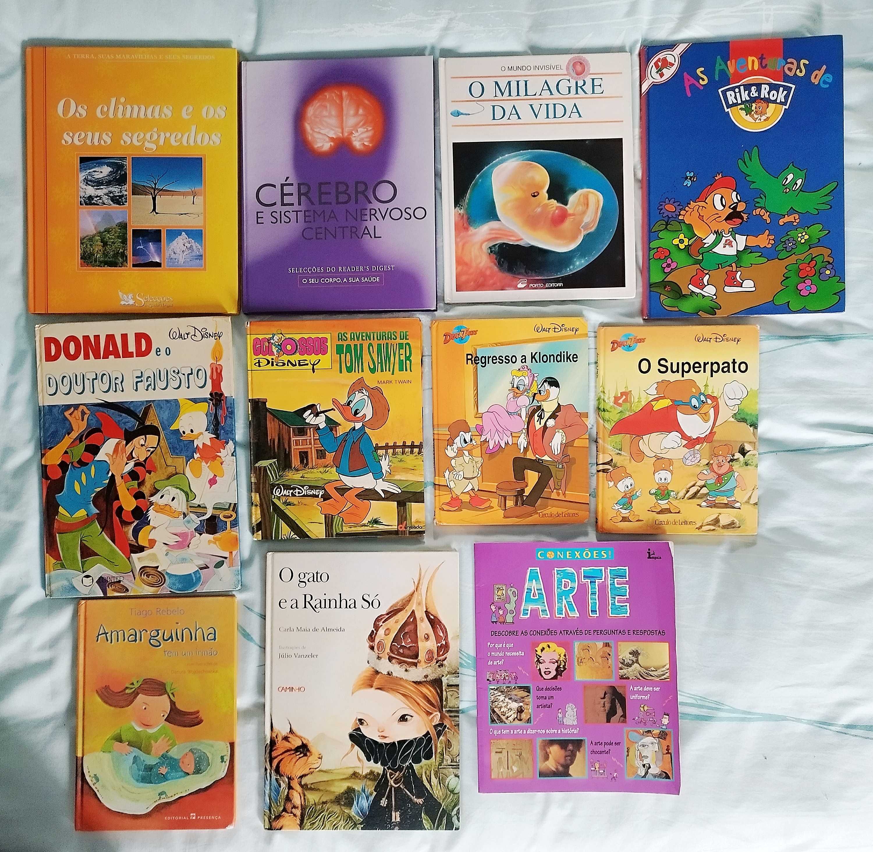 Grande Lote de Livros para Todas as Idades