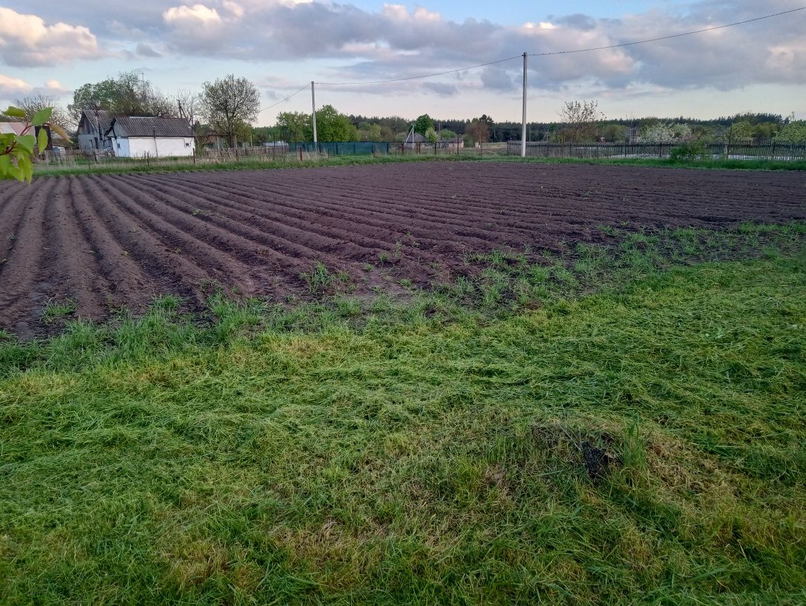 Продам будинок с.Зачепилівка