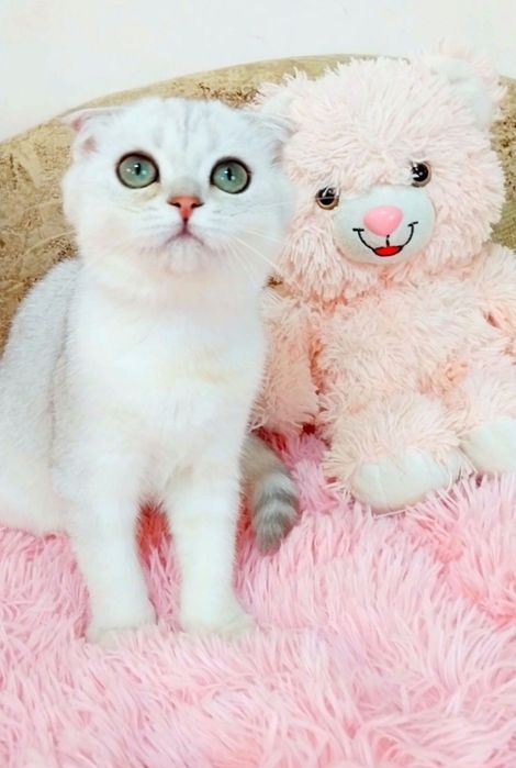 Мальчик милашка с зелёными глазками