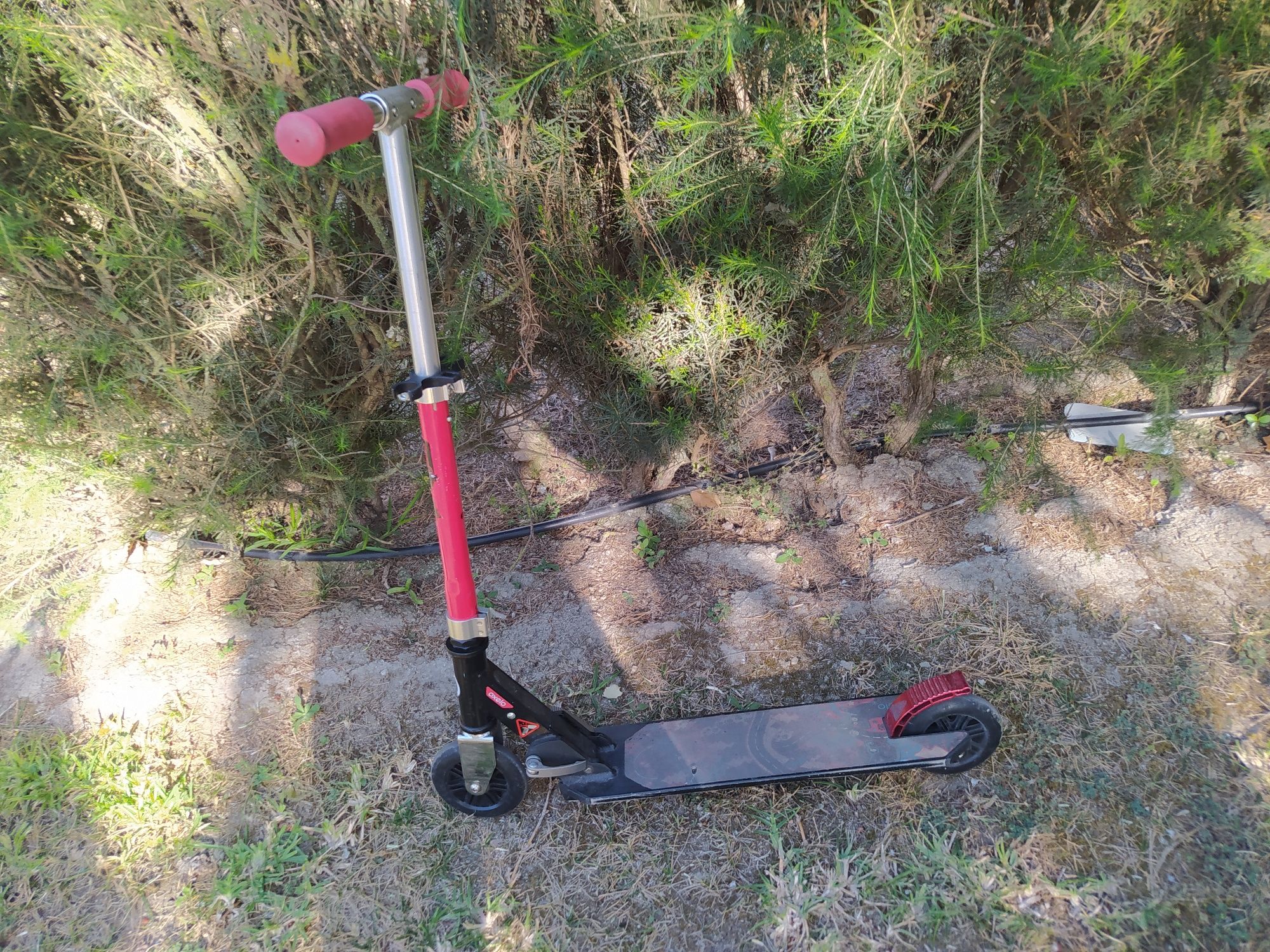 Trotinete criança o selo vermelha