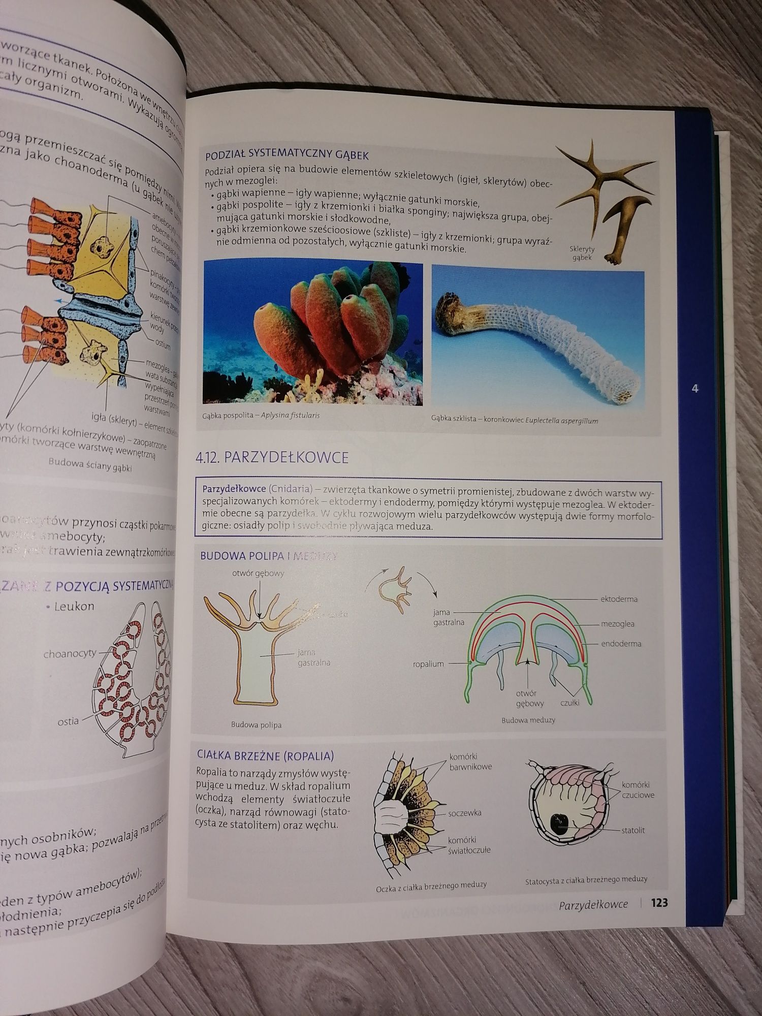 Książki maturalne z biologii i chemii