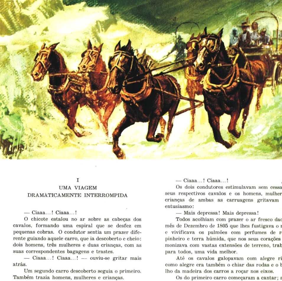 Uma Aventura de Davy Crockett