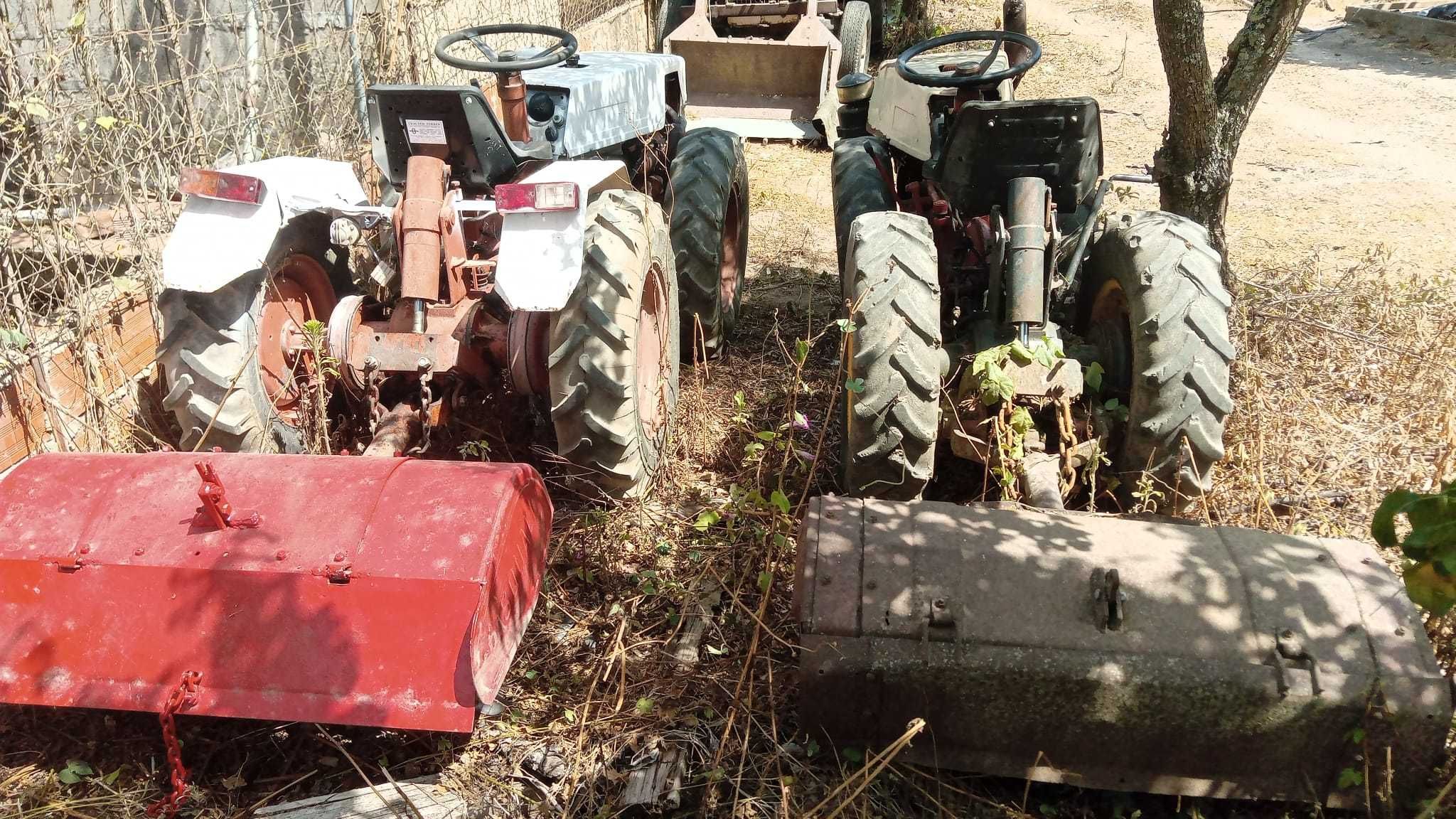 Trator articulado tração ás 4 pasqual 21Cv