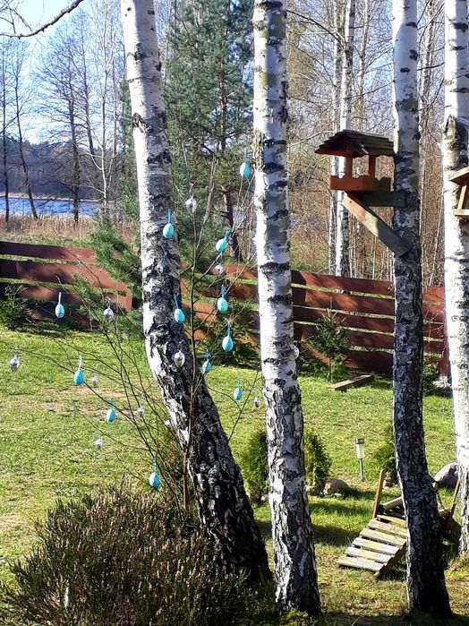 Domek w Radęcinie-wynajem-Nowy Rok 2025  - 31.12 do 04.01 (2500zł) 8os