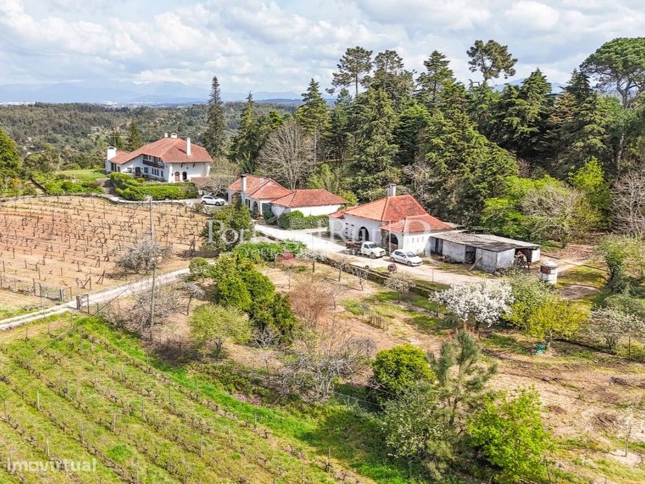 Quinta de 3,6ha com Casa Senhorial, Vinhas e Olival
