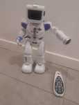 Robot na wode i pilota