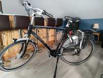 Rower Gazelle Chamonix plus
