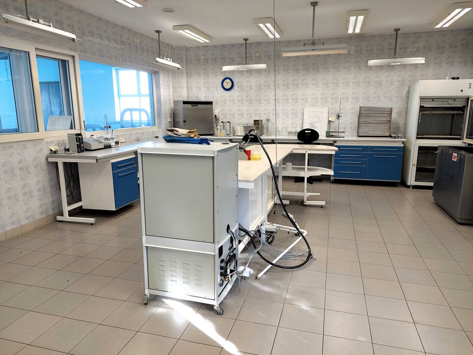 Łowicz, ul. Bolimowska - Wynajmę nieruchomość