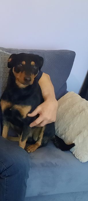 Zaginal nasz przyjaciel