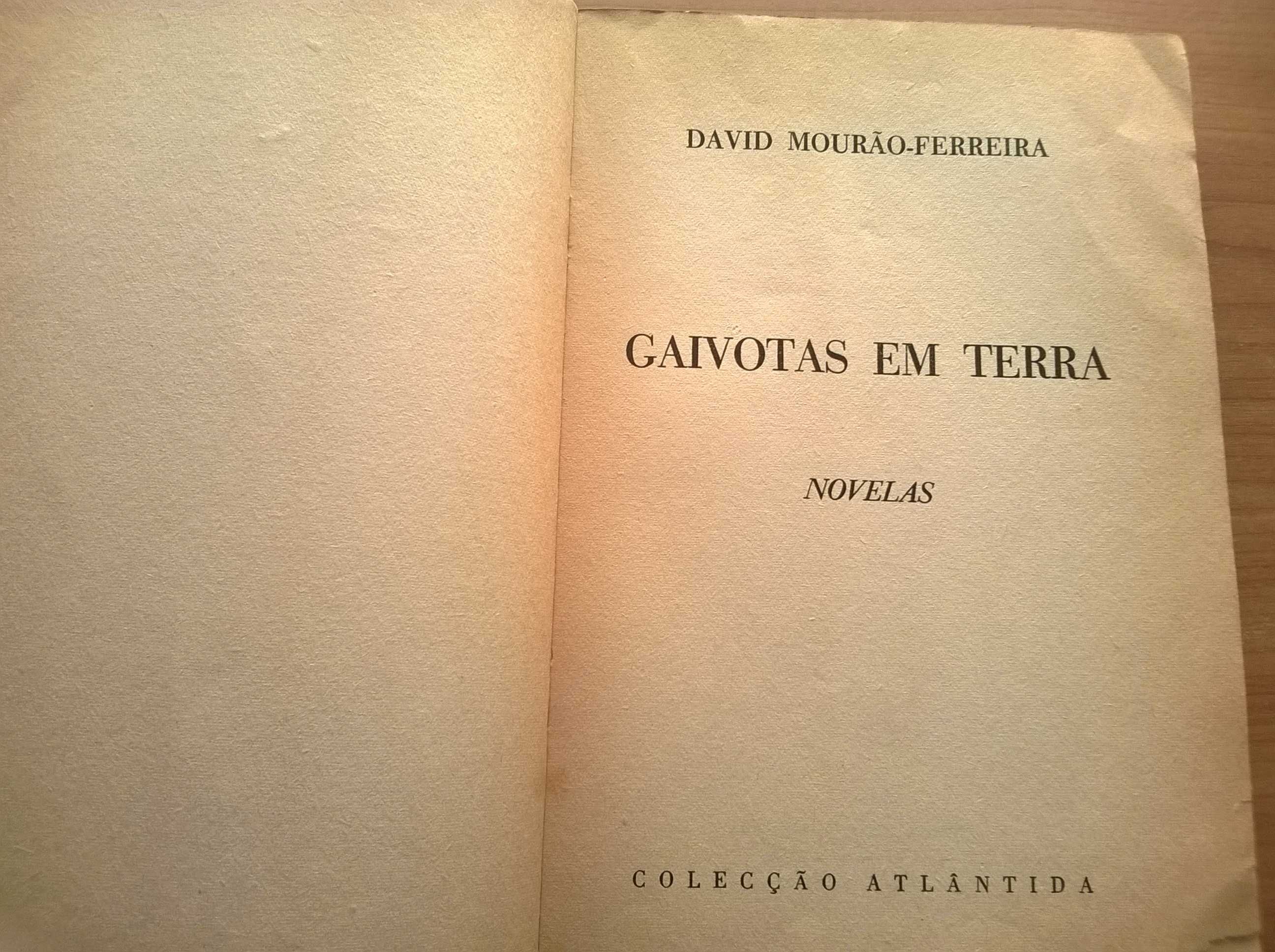 Gaivotas em Terra - David Mourão Ferreira